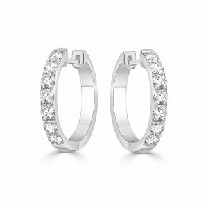 Singular Row Mini Hoop earrings